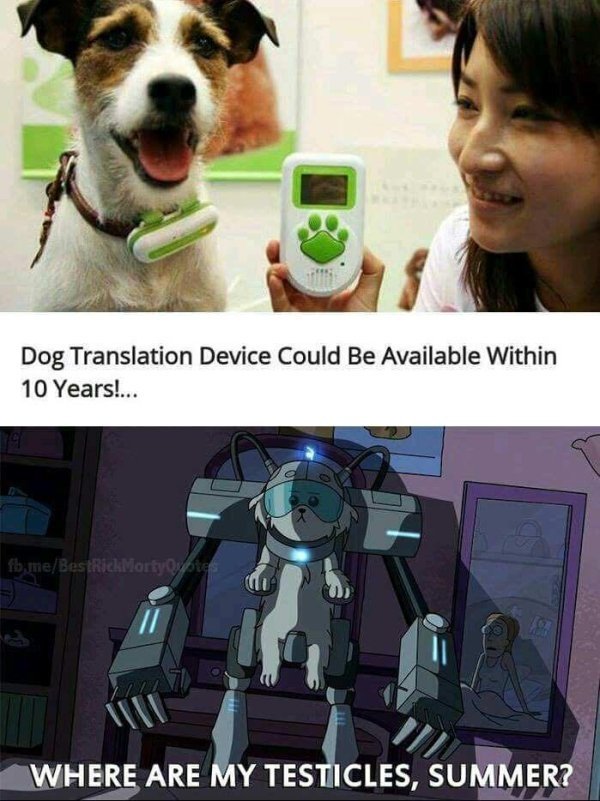 Hilarious Memes (94 pics)