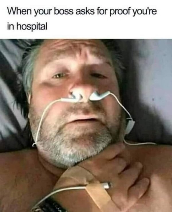 Hilarious Memes (94 pics)