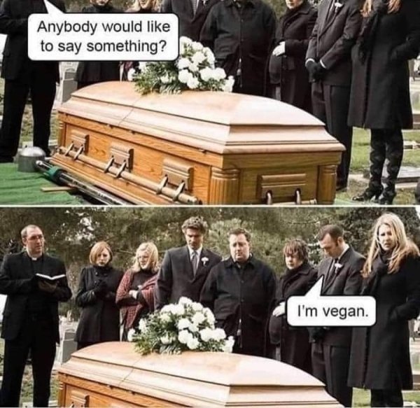 Hilarious Memes (94 pics)