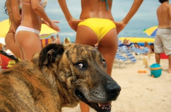 Hilarious Memes (94 pics)