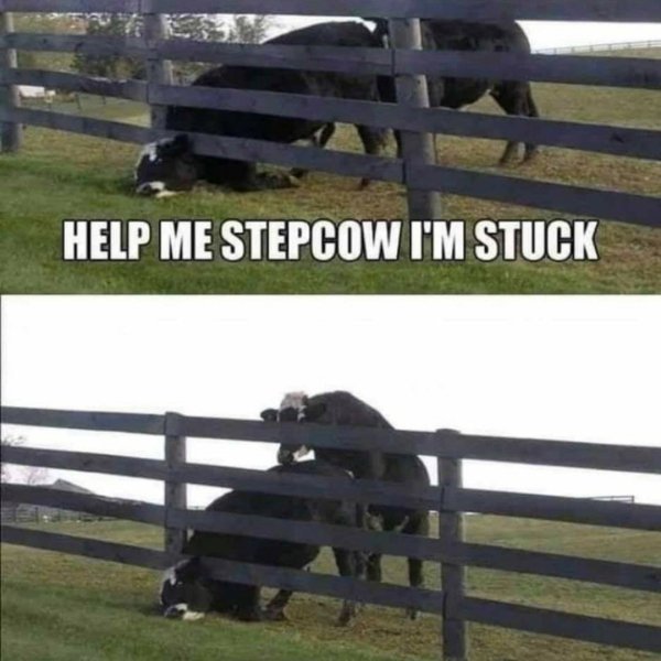 Hilarious Memes (94 pics)