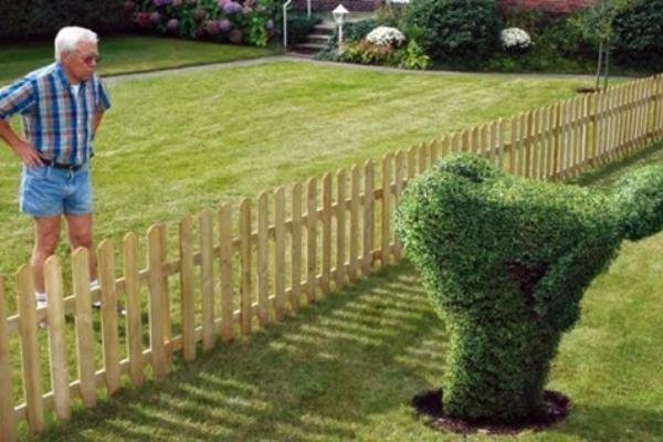 Hilarious Memes (94 pics)