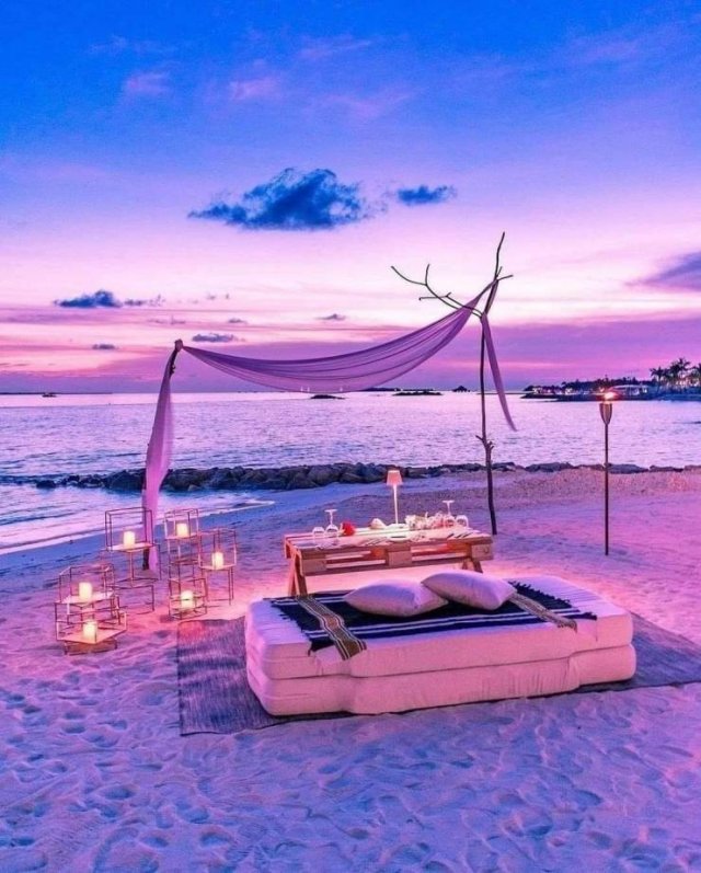 No Words Needed For These Pictures (47 pics)