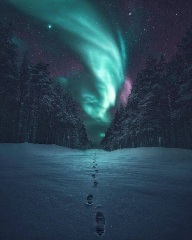 No Words Needed For These Pictures (47 pics)