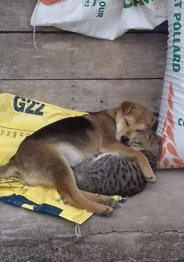 No Words Needed For These Pictures (47 pics)