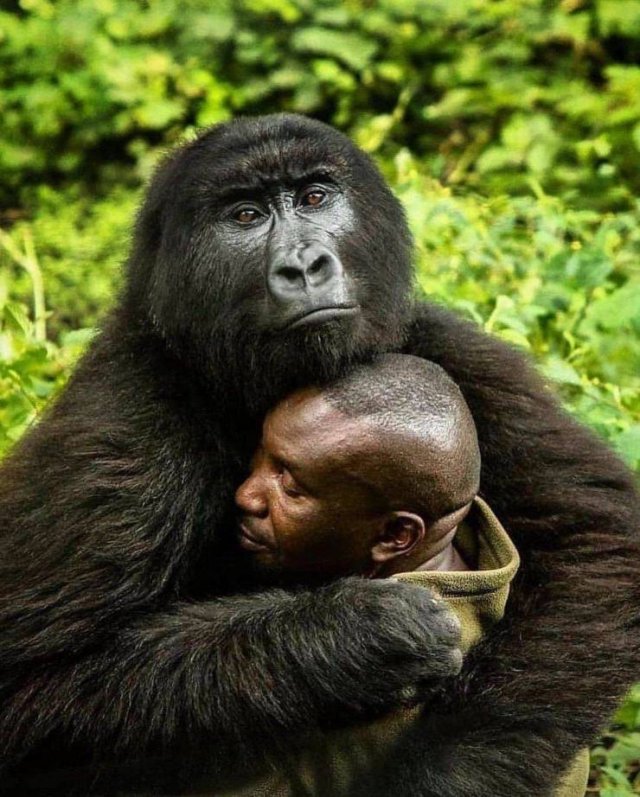 No Words Needed For These Pictures (47 pics)