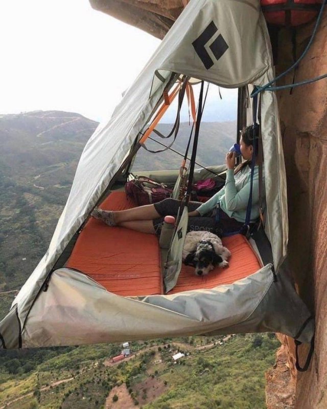 No Words Needed For These Pictures (47 pics)