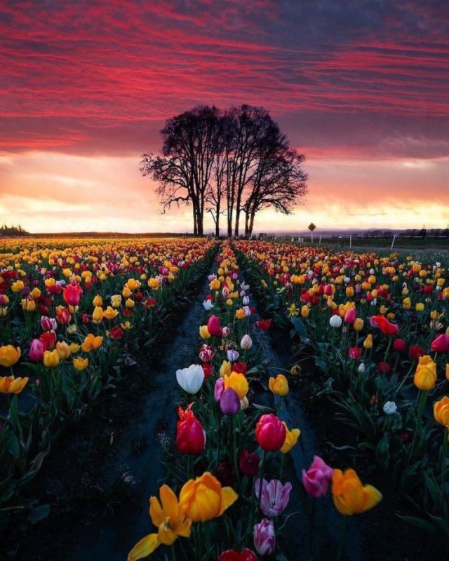 No Words Needed For These Pictures (47 pics)