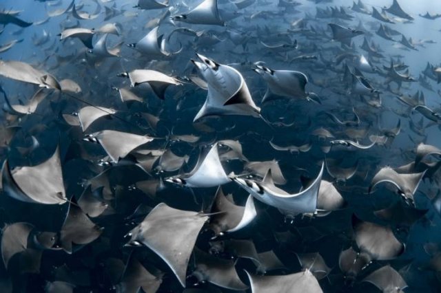 No Words Needed For These Pictures (47 pics)
