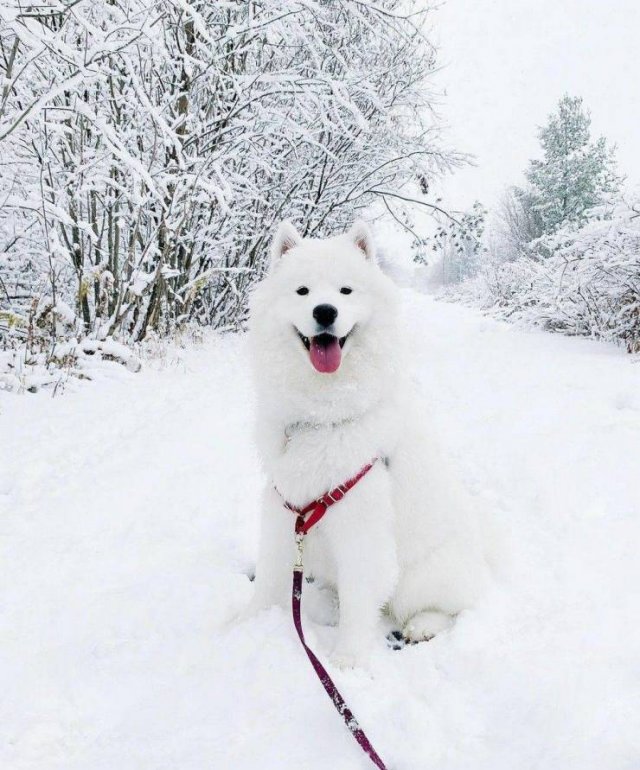 No Words Needed For These Pictures (47 pics)