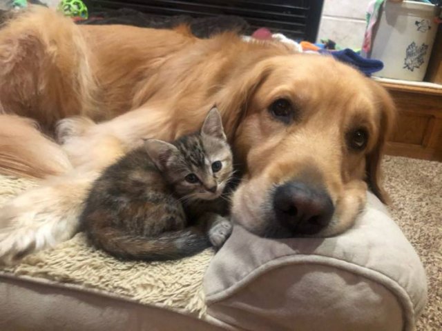 No Words Needed For These Pictures (47 pics)