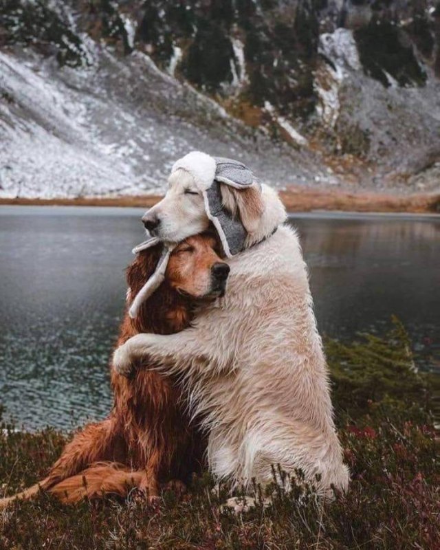 No Words Needed For These Pictures (47 pics)