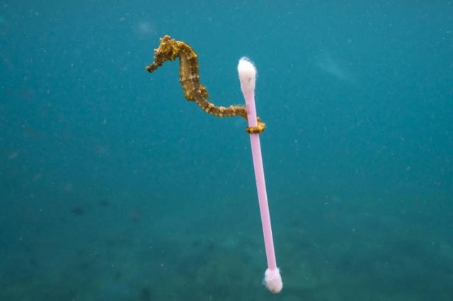 No Words Needed For These Pictures (47 pics)