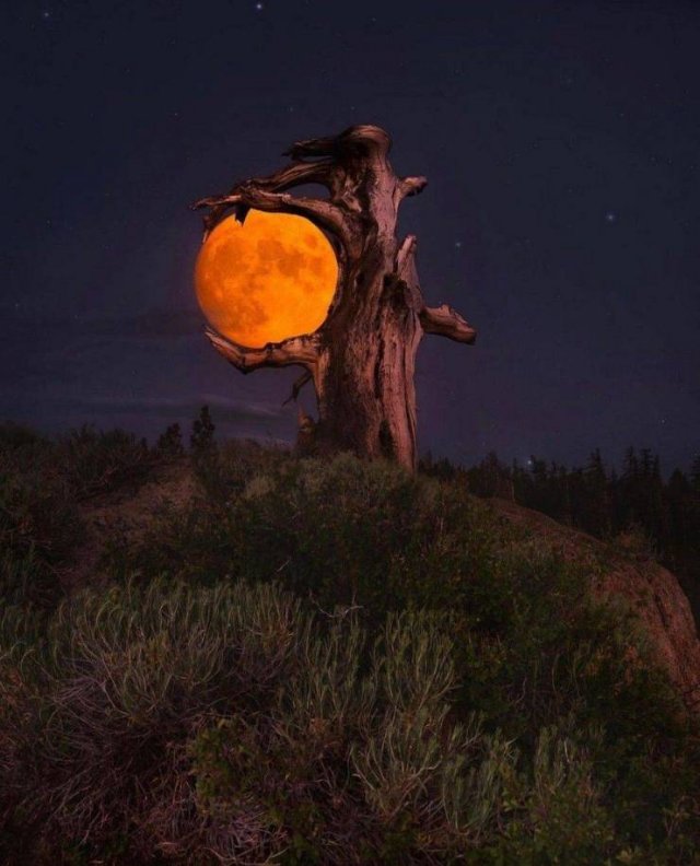 No Words Needed For These Pictures (47 pics)