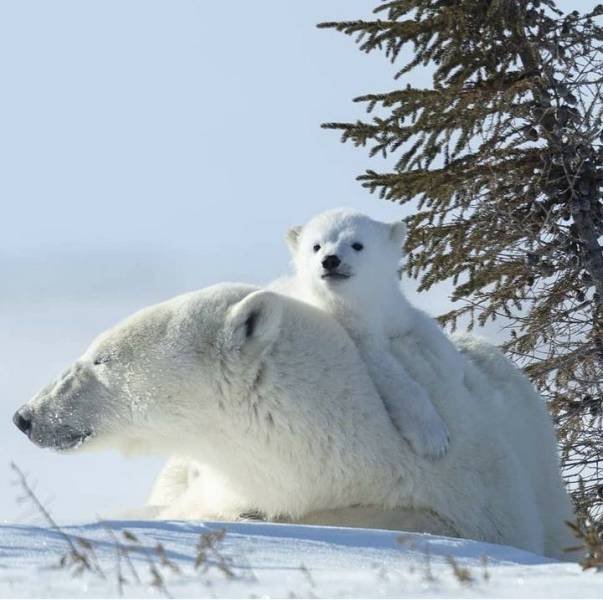 No Words Needed For These Pictures (47 pics)