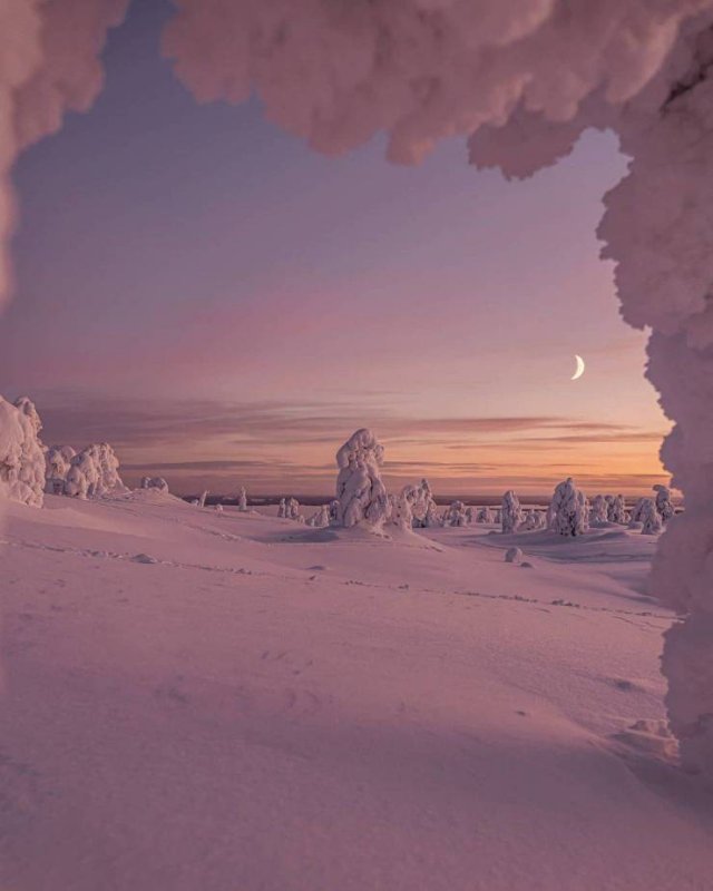 No Words Needed For These Pictures (47 pics)