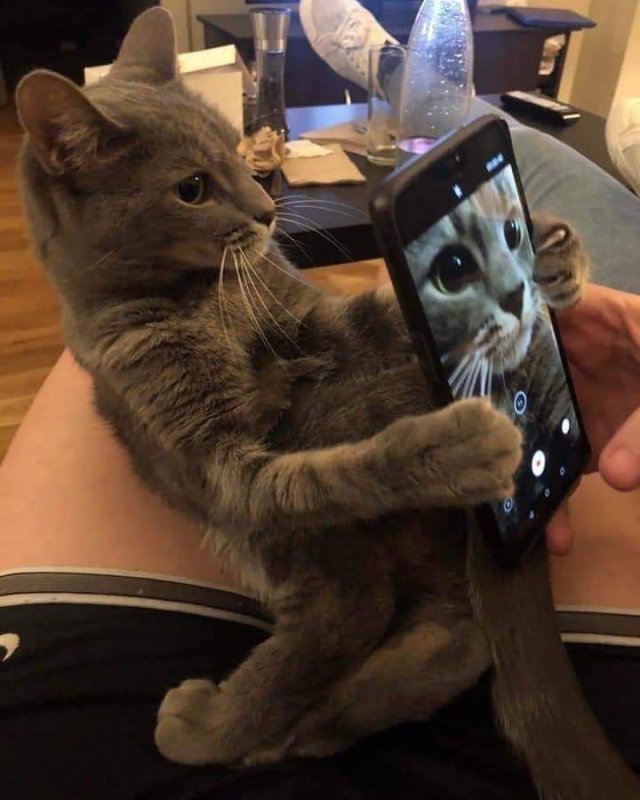 Acid Picdump. Part 1 (54 pics)