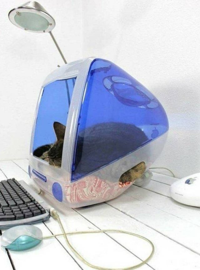 Acid Picdump. Part 1 (54 pics)