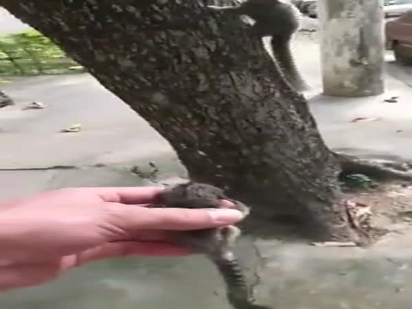 Be Kind To All Creatures