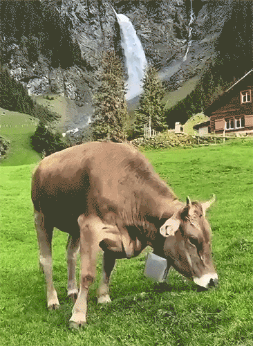 Life In Switzerland (35 pics)