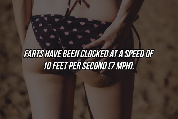 Interesting Facts (17 pics)