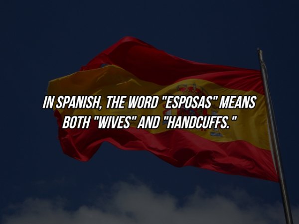 Interesting Facts (17 pics)