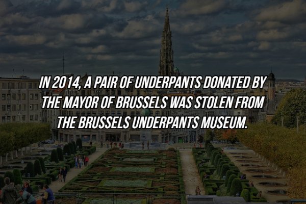 Interesting Facts (17 pics)