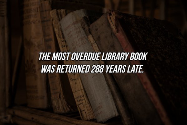 Interesting Facts (17 pics)