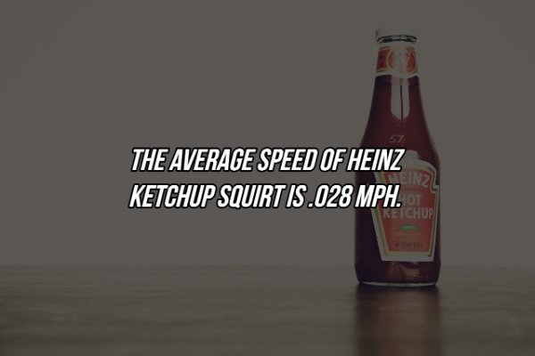 Interesting Facts (17 pics)