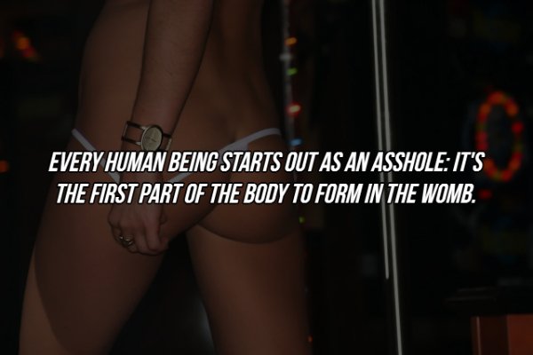 Interesting Facts (17 pics)