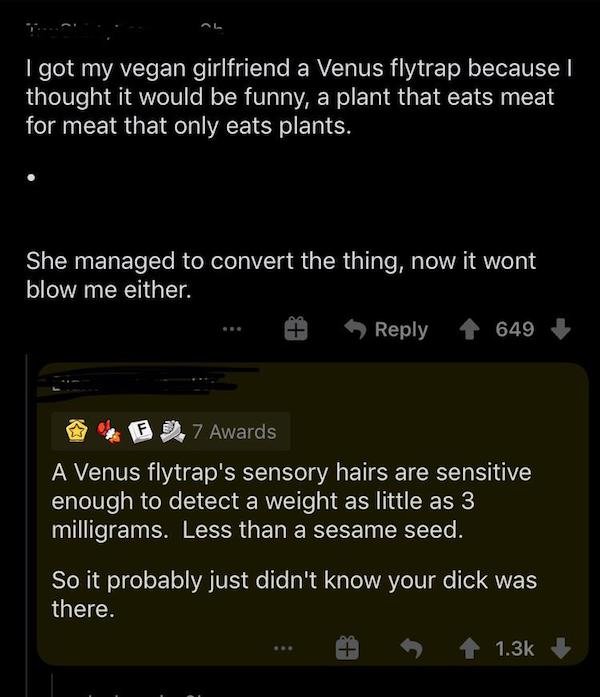 Clever Internet Replies (24 pics)