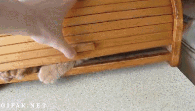 Acid Gifdump, December 30 (25 gifs)