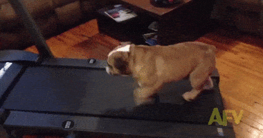 Acid Gifdump, December 30 (25 gifs)