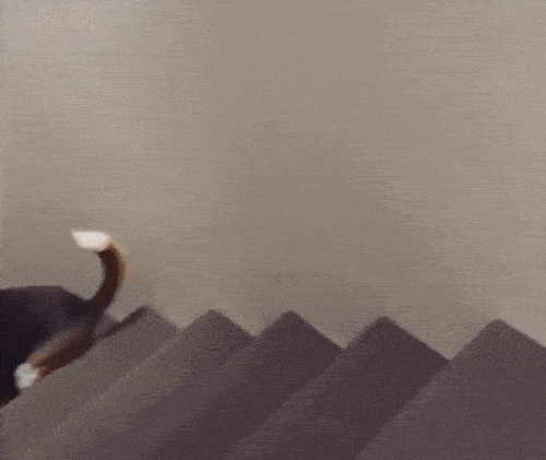Acid Gifdump, December 30 (25 gifs)