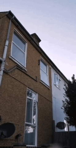 Acid Gifdump, December 30 (25 gifs)