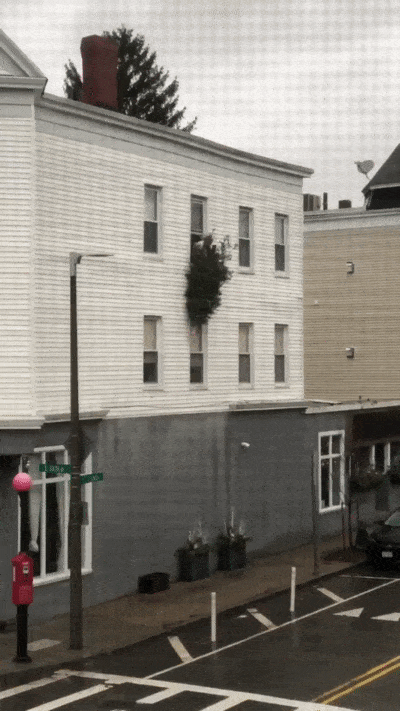 Acid Gifdump, December 30 (25 gifs)