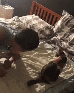 Acid Gifdump, December 30 (25 gifs)