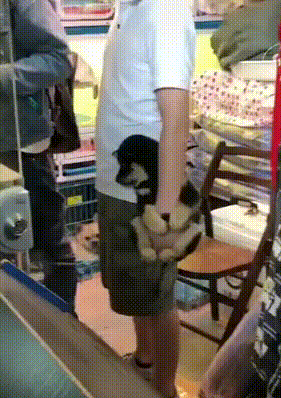 Acid Gifdump, December 30 (25 gifs)