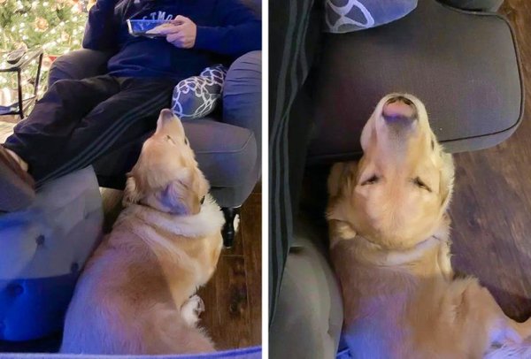 Wholesome Pictures (20 pics) Wholesome Pictures (20 pics)