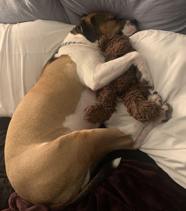 Wholesome Pictures (20 pics) Wholesome Pictures (20 pics)