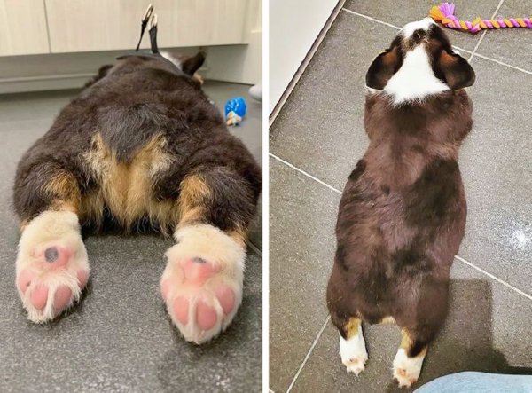 Wholesome Pictures (20 pics) Wholesome Pictures (20 pics)