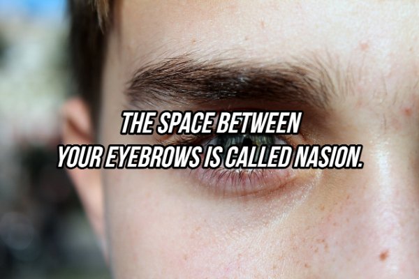 Facts About Eyes (20 pics)