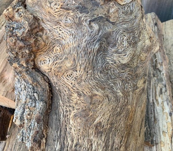 Unexpected Findings (20 pics) Unexpected Findings (20 pics)