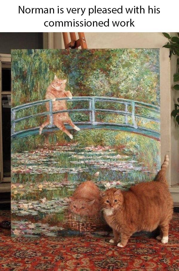 Hilarious Cats (31 pics)