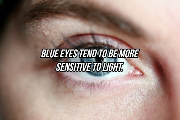 Facts About Eyes (20 pics)