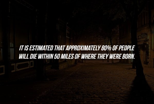 Scary Facts (15 pics)
