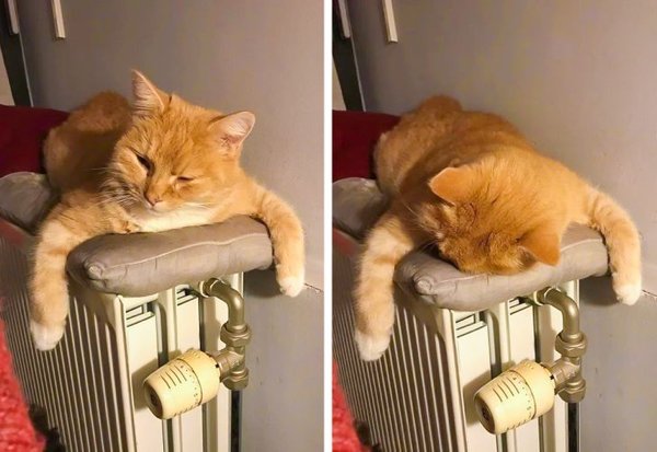 Wholesome Pictures (20 pics) Wholesome Pictures (20 pics)