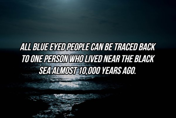 Facts About Eyes (20 pics)