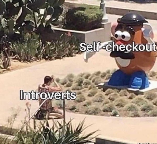 Introvert Memes (30 pics)