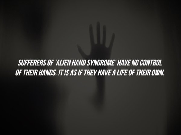 Scary Facts (15 pics)